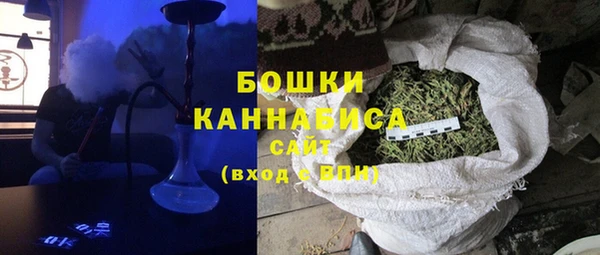 молекула духа Зеленодольск