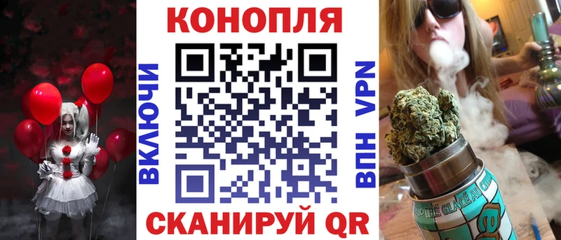 Купить где  Заводоуковск  Бошки марихуана Amnesia 